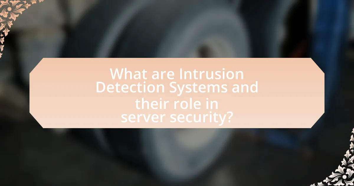 What are Intrusion Detection Systems and their role in server security?