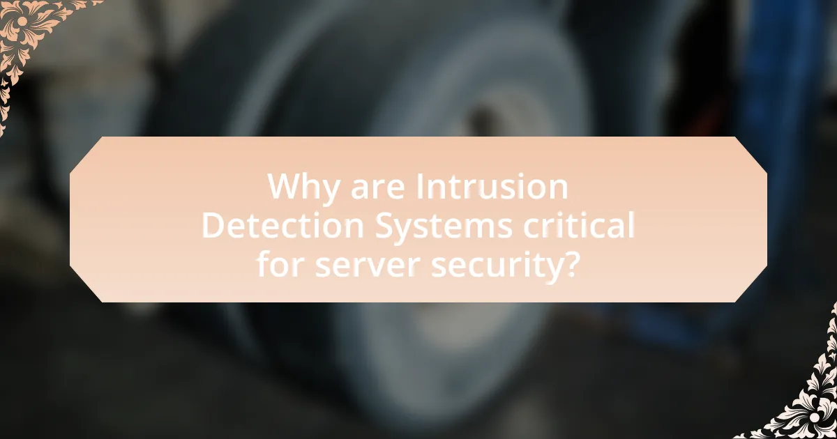 Why are Intrusion Detection Systems critical for server security?